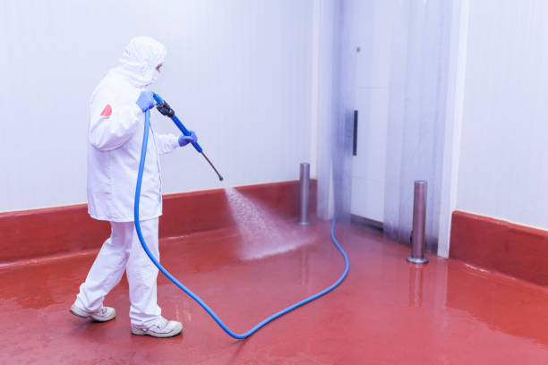 Best Driveway Cleaning and Restoration in Florham Park, NJ